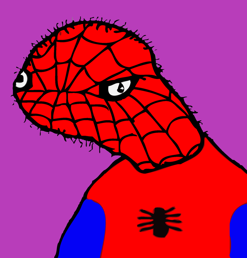 spiderwhat.png