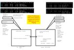 network topology adnd explained issue