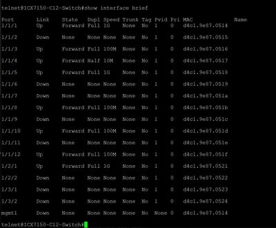 Ruckus ICX 7150 Switch Info 2.JPG