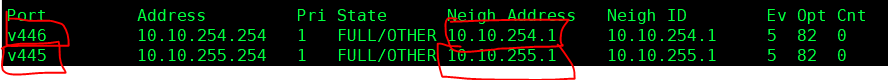 OSPF-Issue-2.PNG