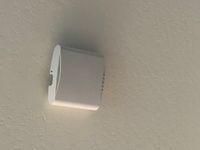IMG_4442.jpeg