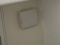 IMG_4443.jpeg