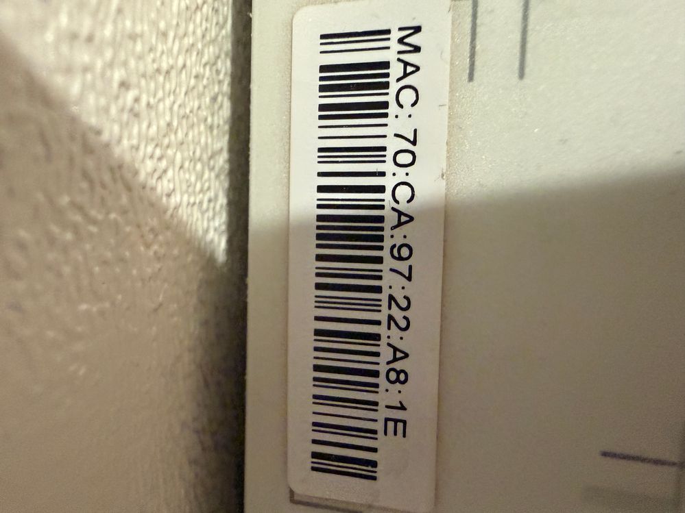IMG_4436.jpeg