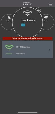 Image_ images_messages_60d5002f1b31ce166cbe21a1_4a74b3fb895e2412a553aae78700dbe2_Ruckus-751e2de3-a151-454f-af5d-a63f76626c4f-422455900.jpg